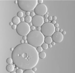 ANIONIC & NON-IONIC SURFACTANTS
