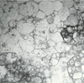 GLYCERIN