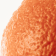 Calabrian Bergamot
